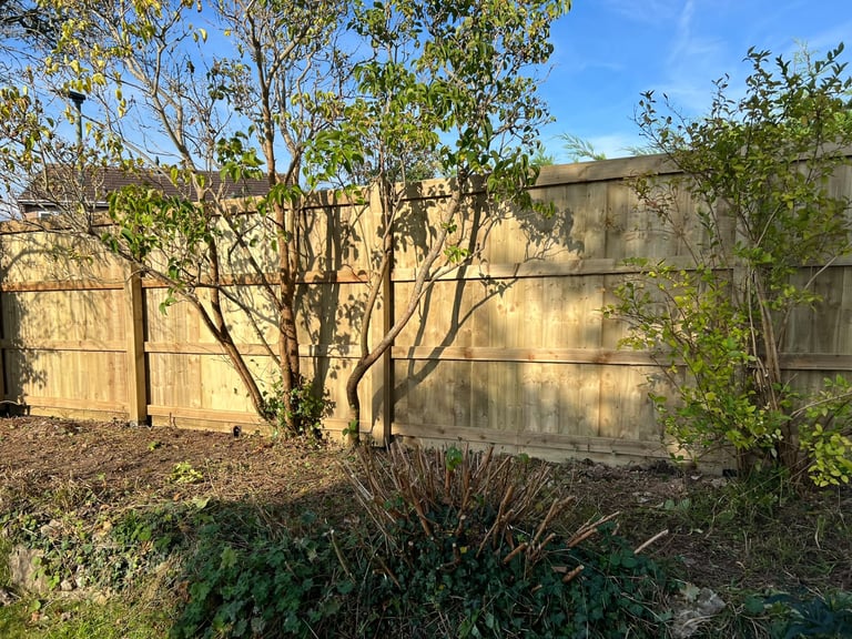 Close-board fencing completed by PC Landscaping in South Devon